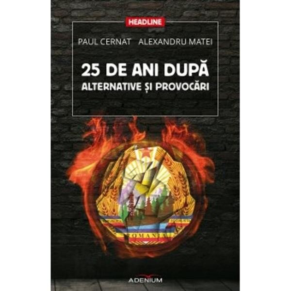 25 de ani dupa. Alternative si provocari - Cernat, Paul; Matei, Alexandru