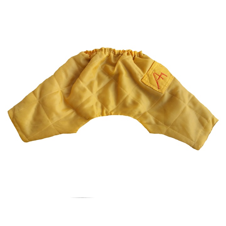 Pantalon PONGO, Euroanimode, Galben, M