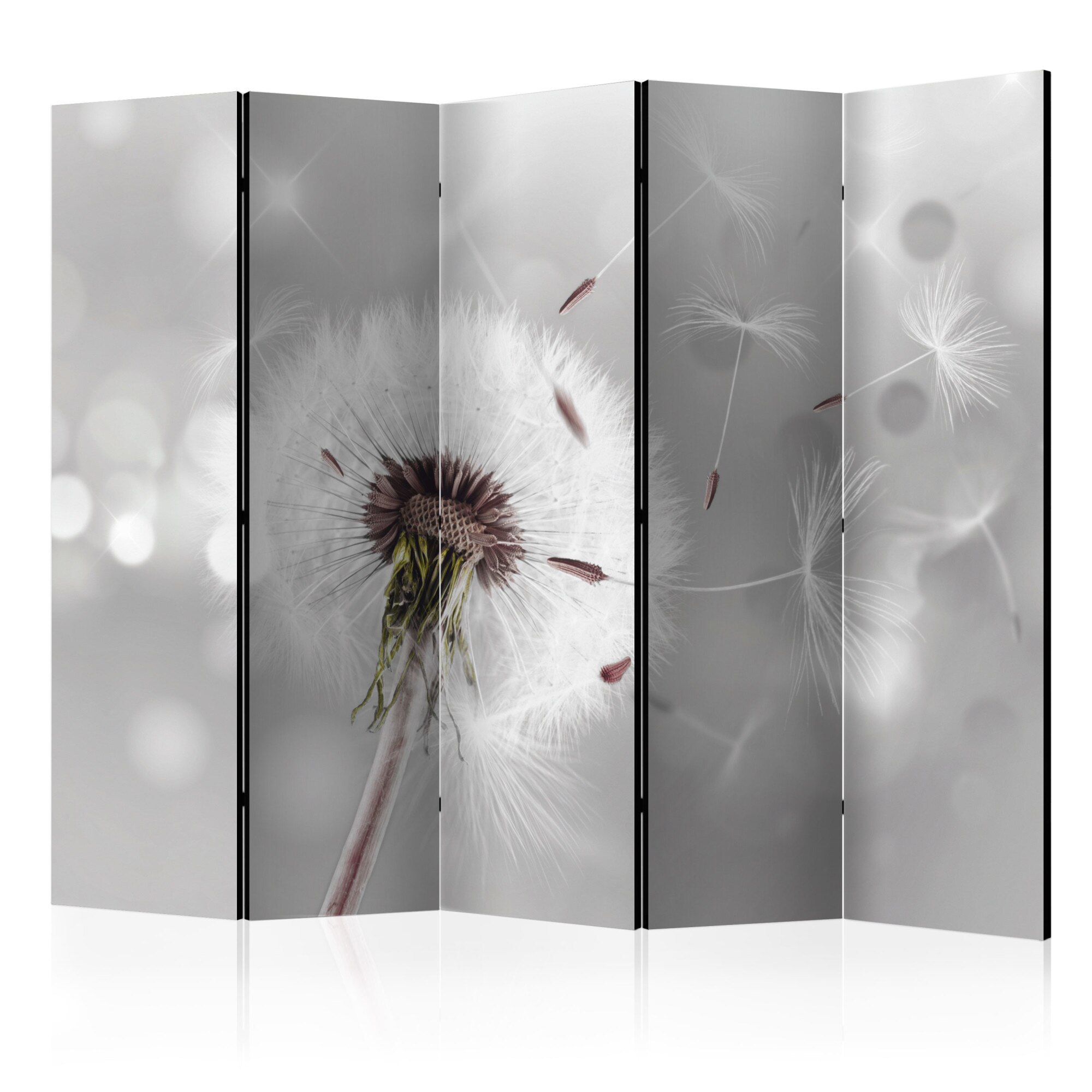 Paravan din 5 parti - Grasping the Invisible II - 225x172cm