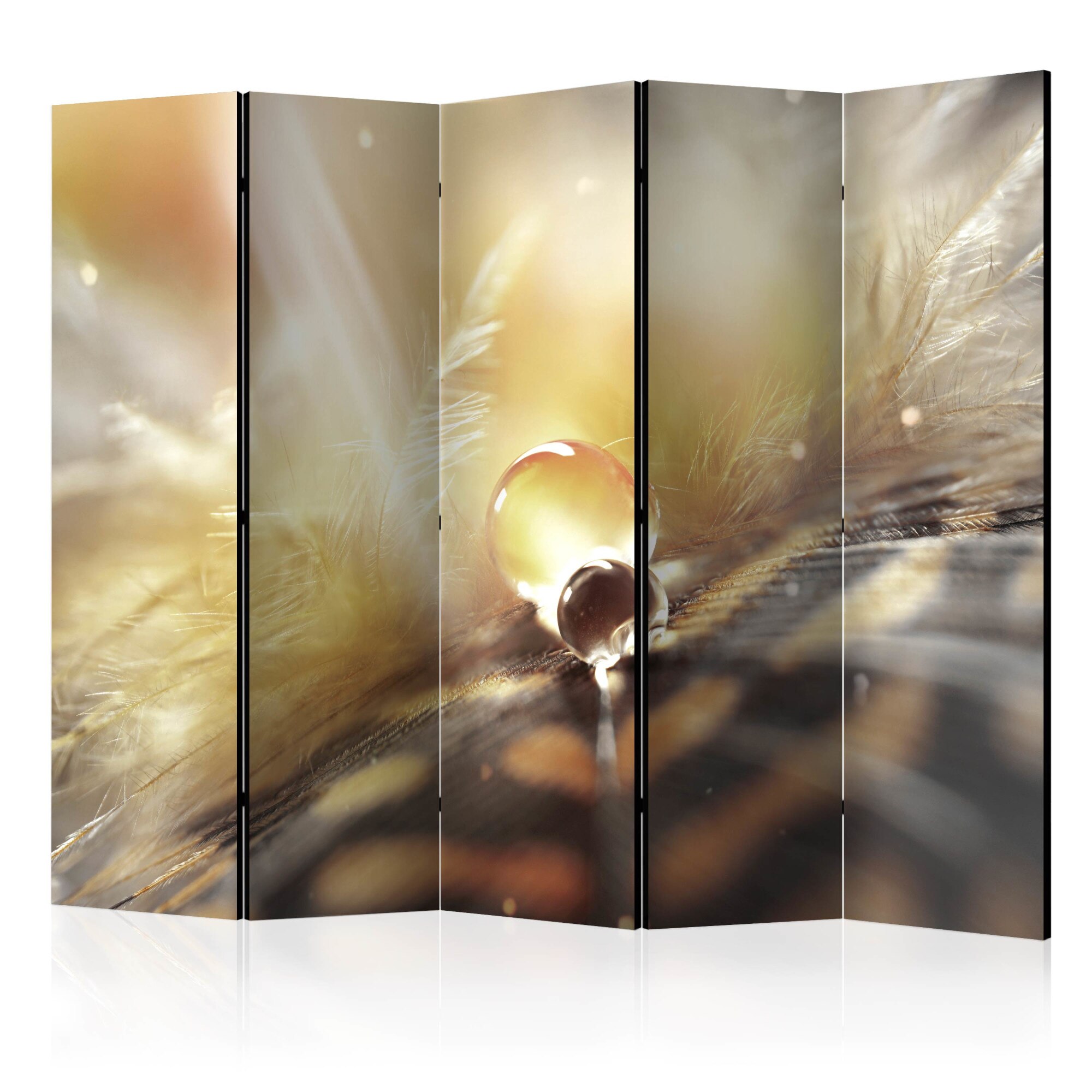 Paravan din 5 parti - Magic Feather II [Room Divider] - 225x172cm