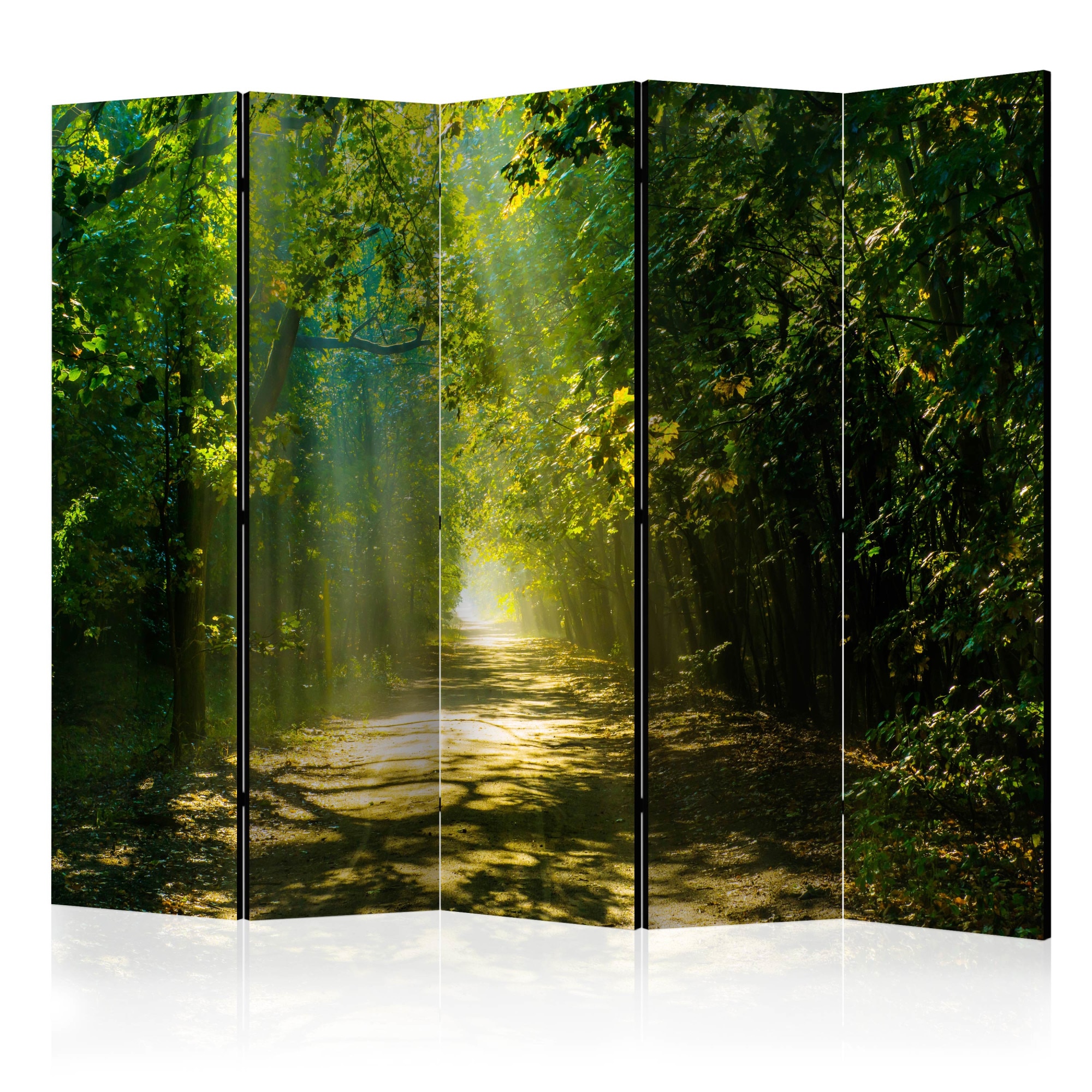Paravan din 5 parti - Road in Sunlight II - 225x172cm