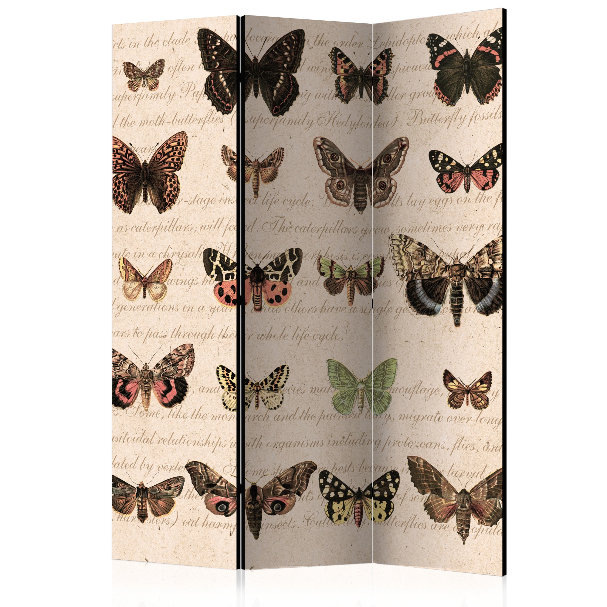 Paravan din 3 parti - Retro Style: Butterflies - 135x172cm