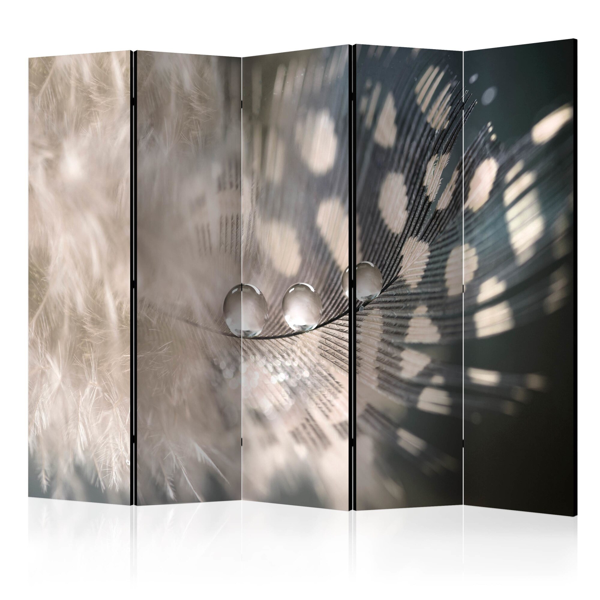 Paravan din 5 parti - Elegant Feather II - 225x172cm