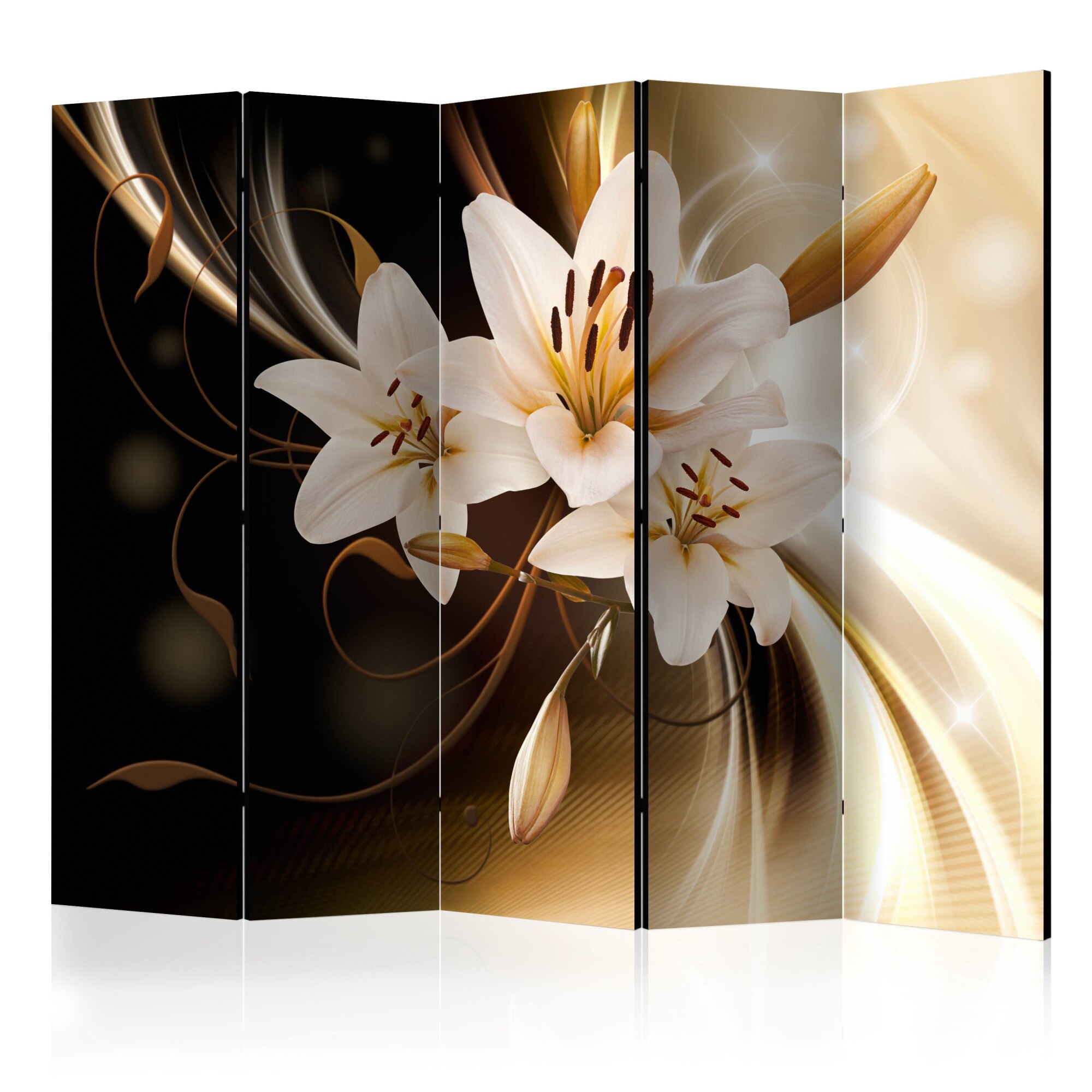 Paravan din 5 parti - Circle of Light II - 225x172cm