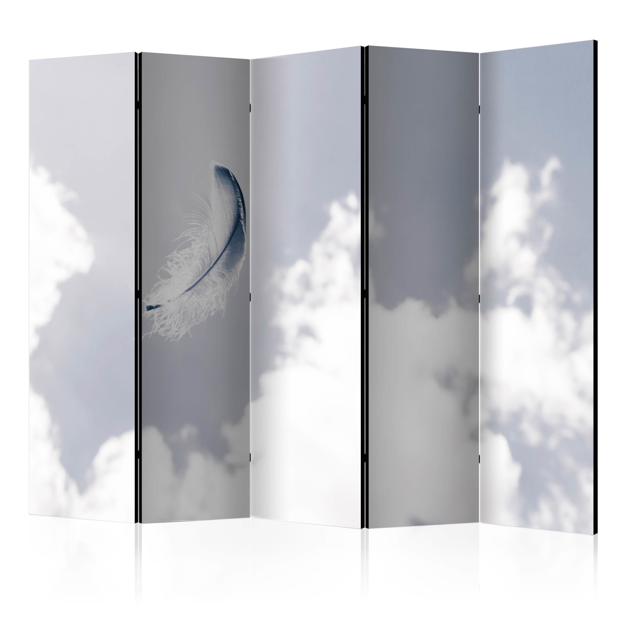 Paravan din 5 parti - Angelic Feather II - 225x172cm