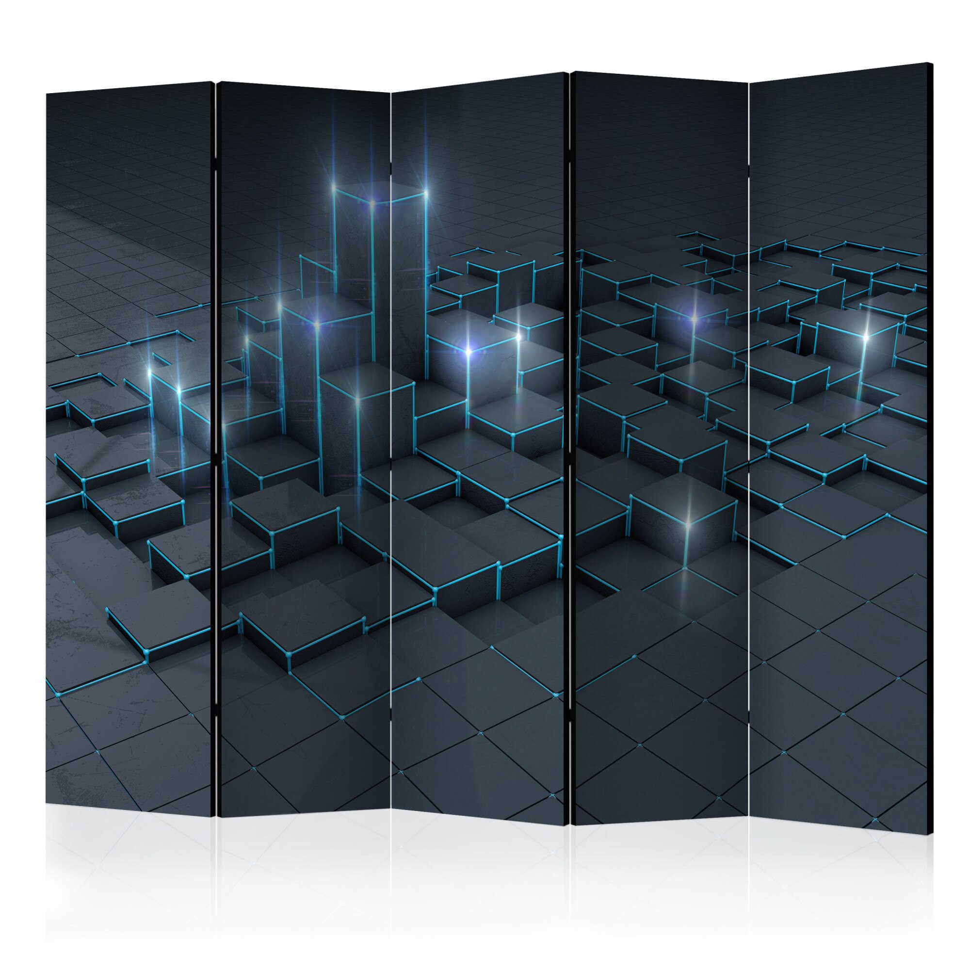Paravan din 5 parti - Black City II - 225x172cm