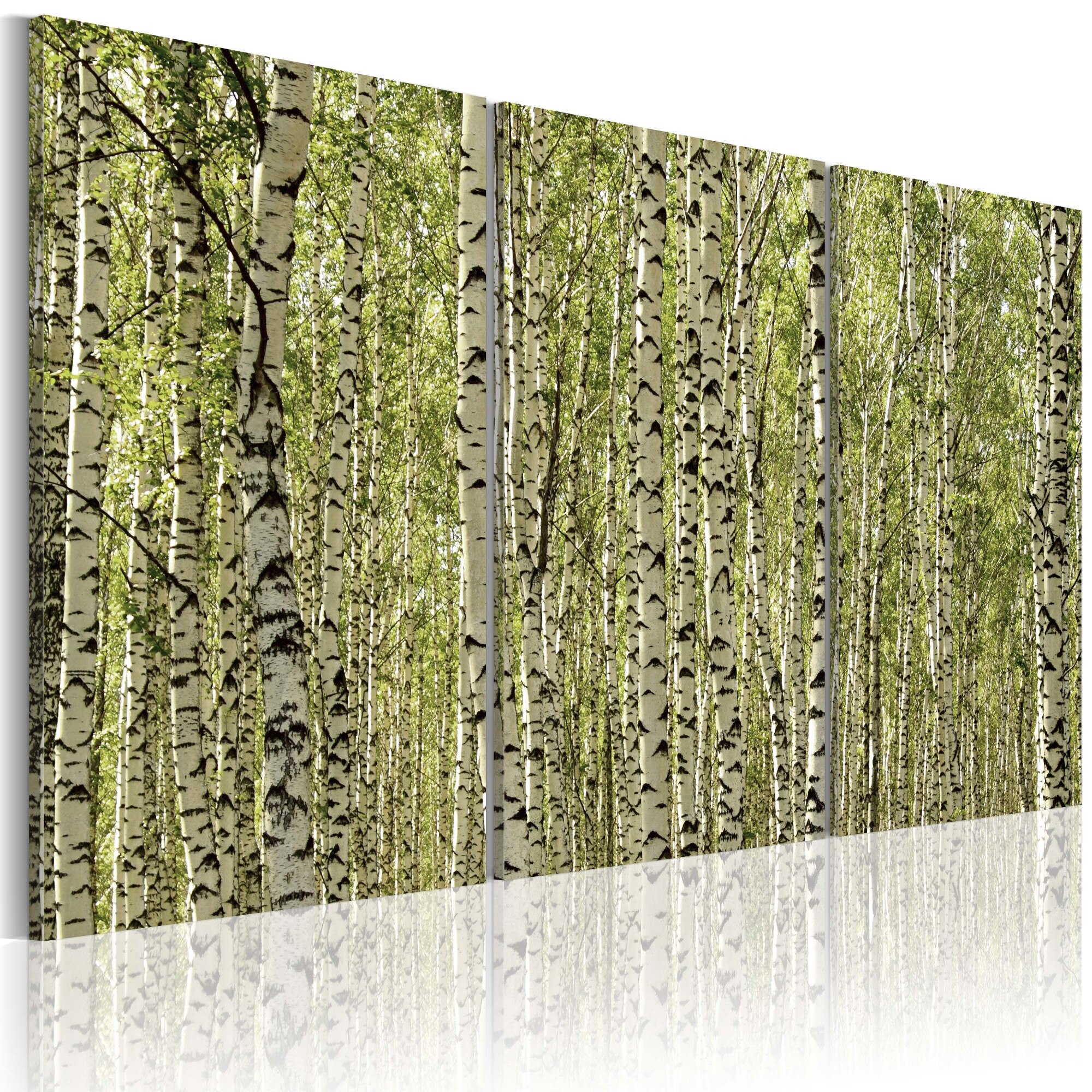 Tablou canvas 3 piese - Padurea de mesteacan - 120x80 cm