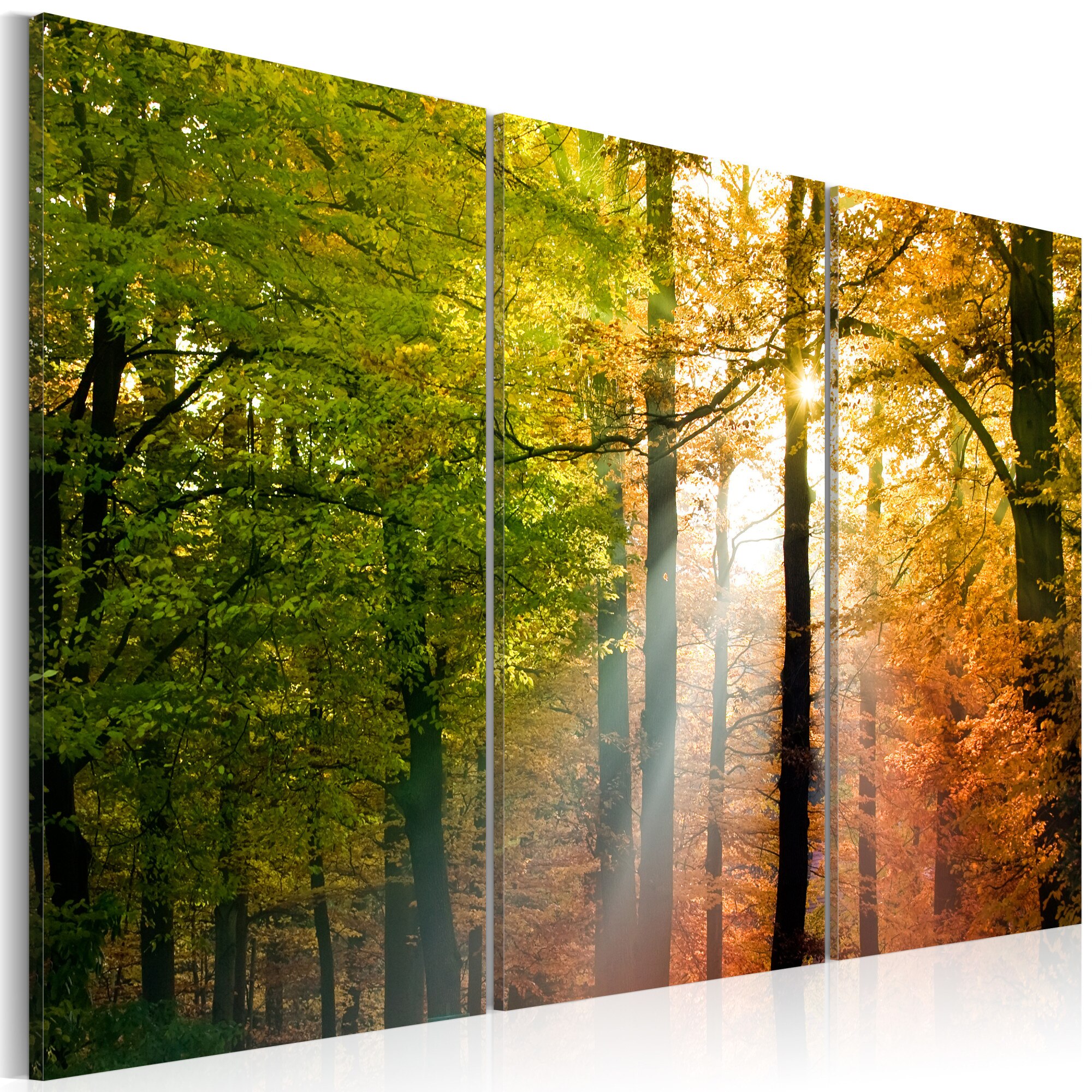 Tablou canvas 3 piese - Padurea de toamna Acalm - 60x40 cm