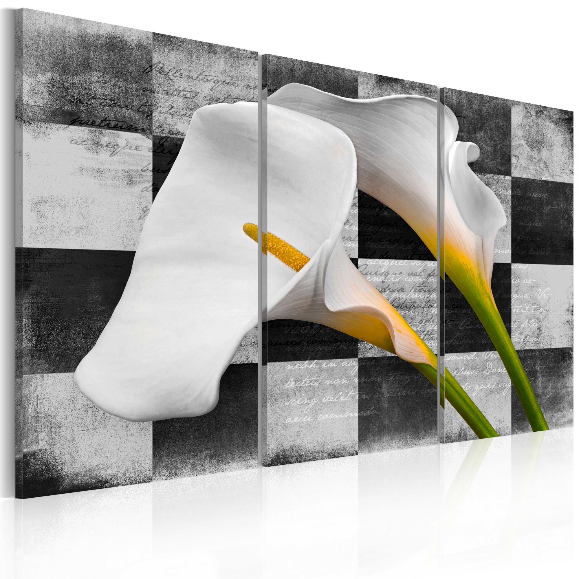 Tablou canvas 3 piese - Callas (epoca) - 60x40 cm