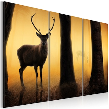Tablou canvas 3 piese - Garda forestiera - 60x40 cm