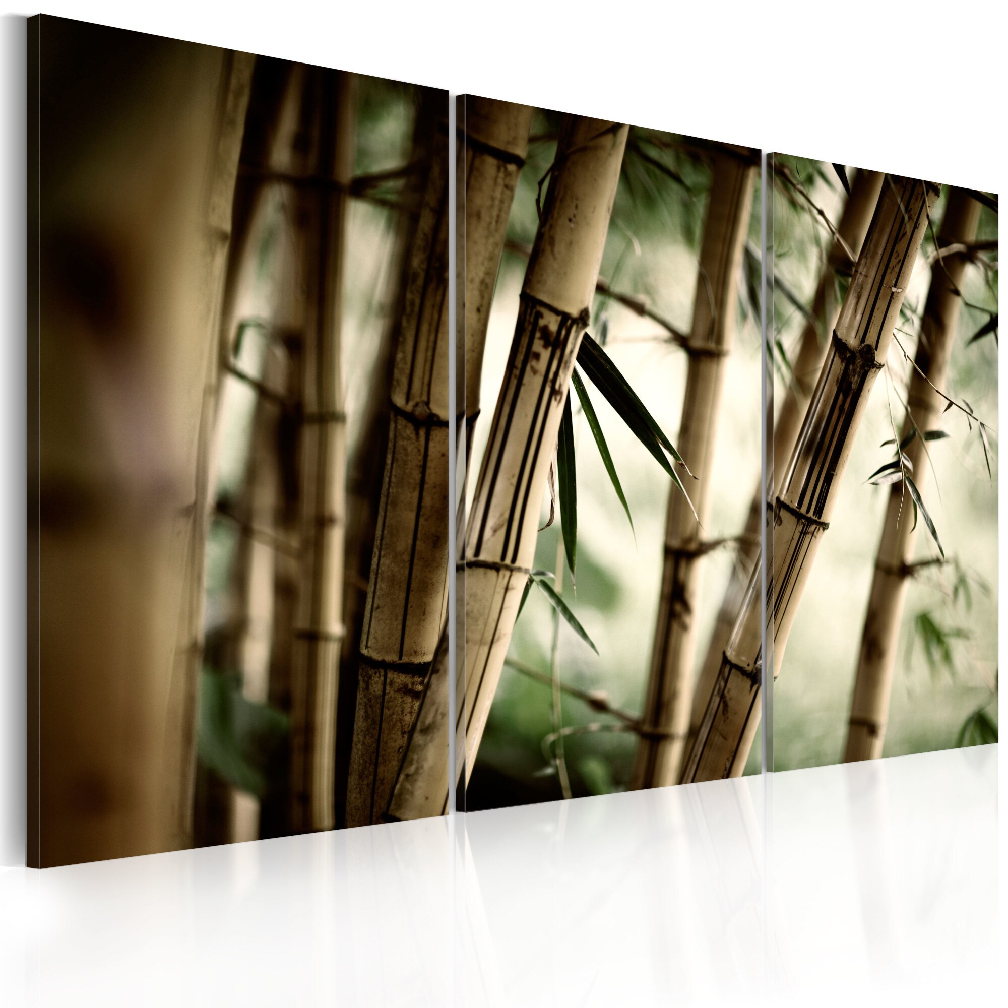 Tablou canvas 3 piese - Intr-o padure tropicala - 120x80 cm