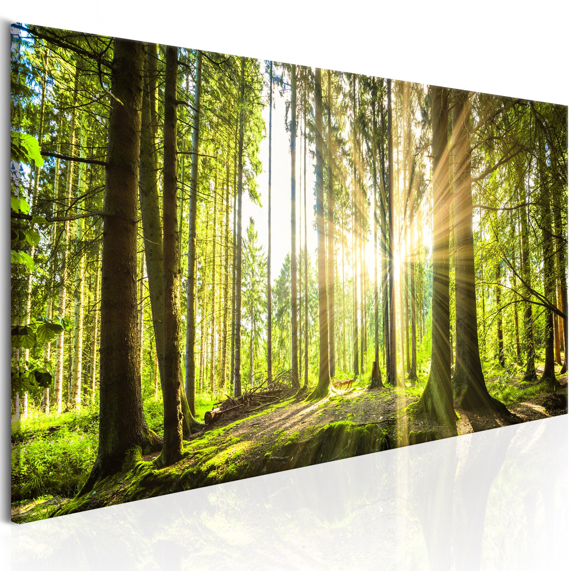 Tablou canvas - Lumina zilei - 135x45 cm