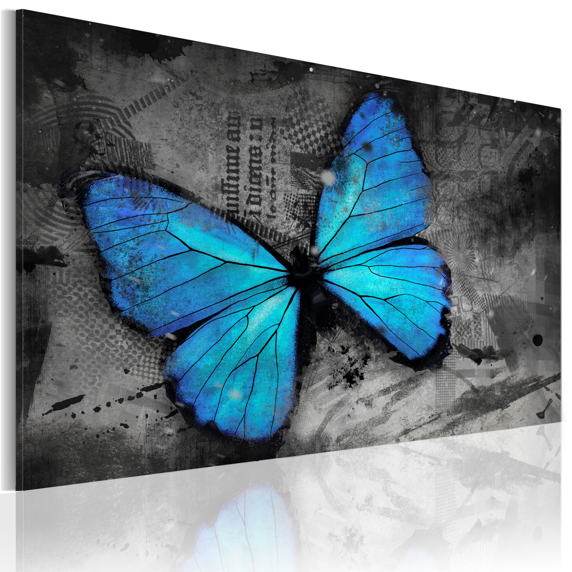 Tablou canvas - Studiul fluturilor - 60x40 cm