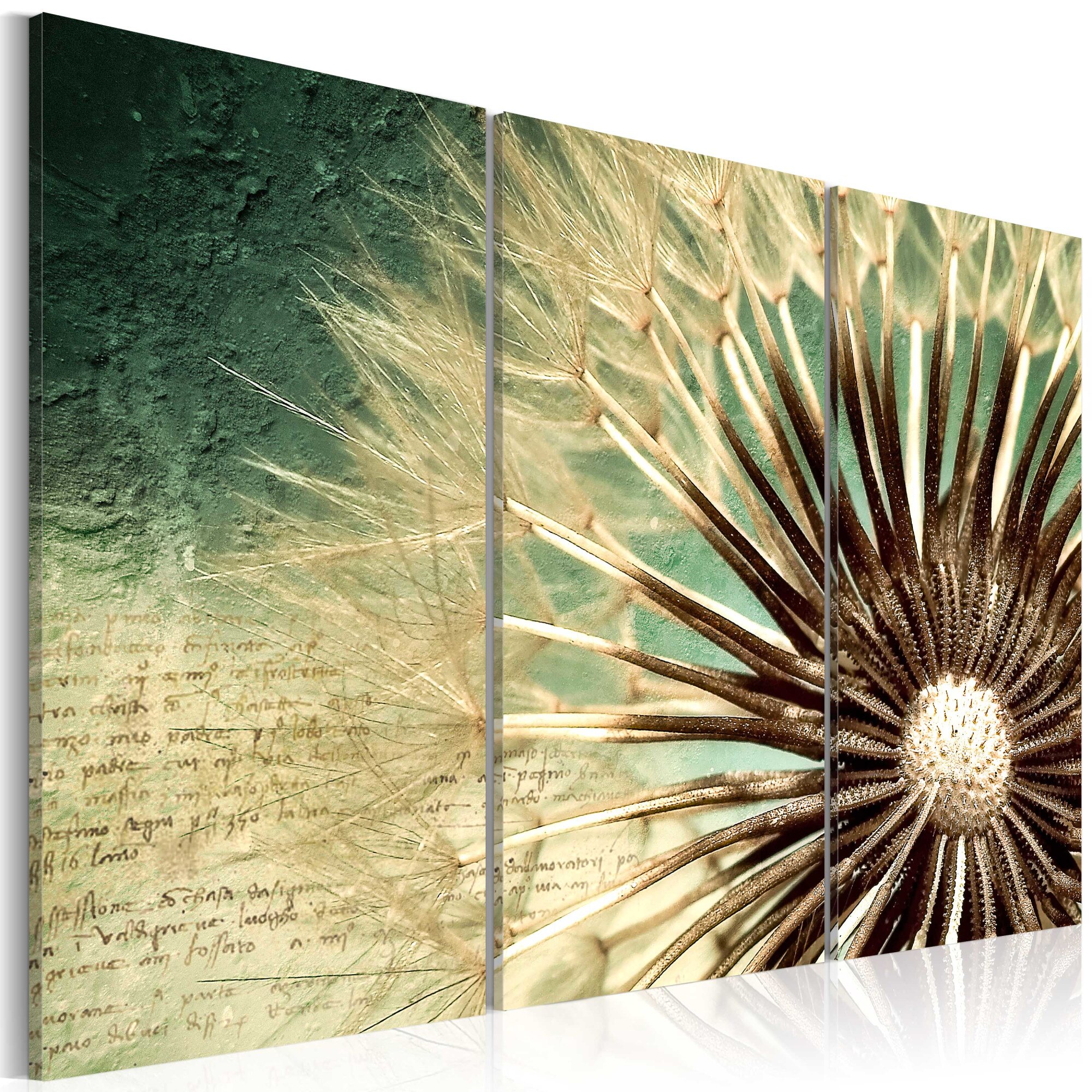 Tablou canvas 3 piese - Frumusetea tranzitiei - 60x40 cm