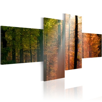 Tablou canvas 4 piese - Sunrays Intre copaci - 100x45 cm