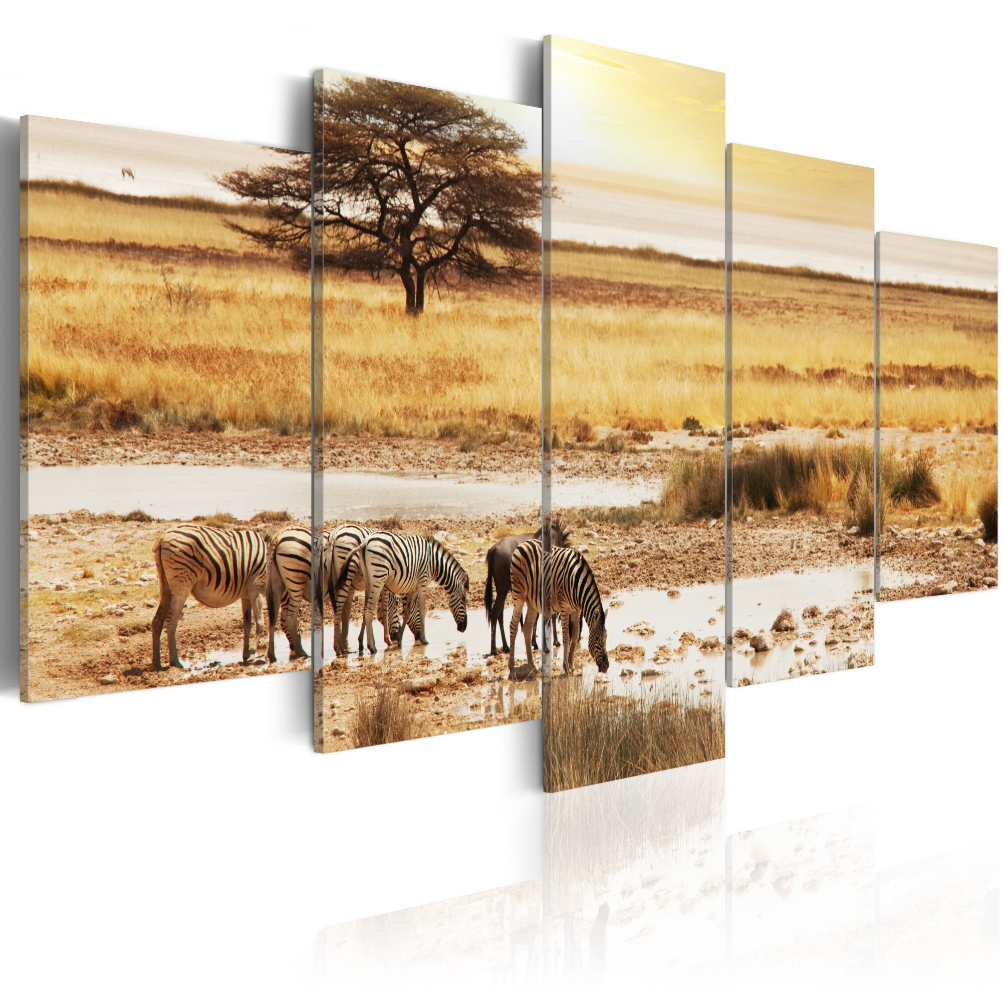 Tablou canvas 5 piese - Zebras pe o savana - 100x50 cm