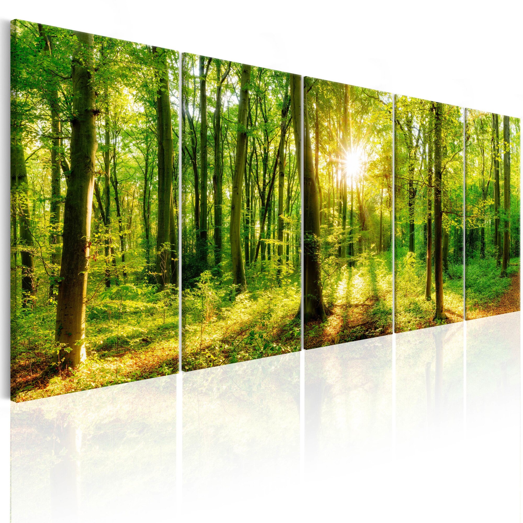 Tablou canvas 5 piese - Magic Forest - 200x80 cm