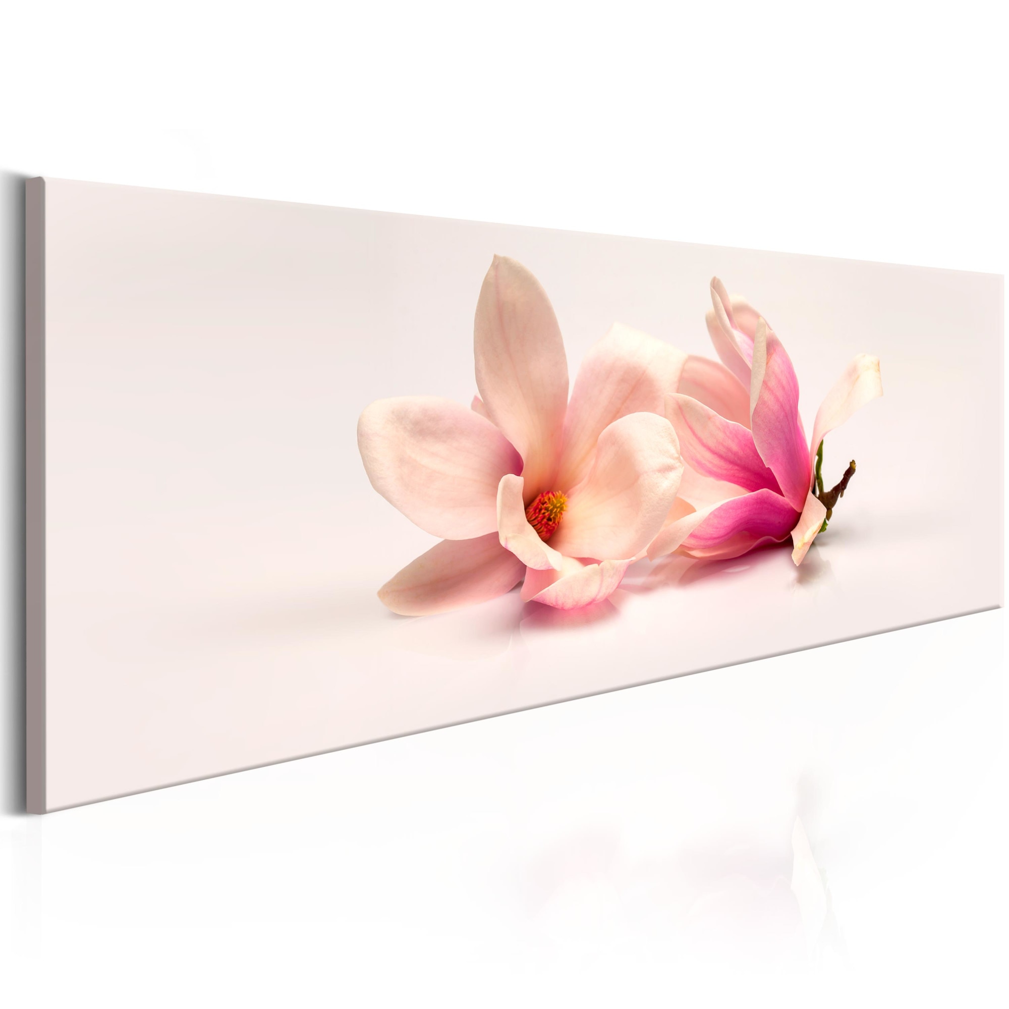 Tablou canvas - Magnoliile frumoase - 150x50 cm