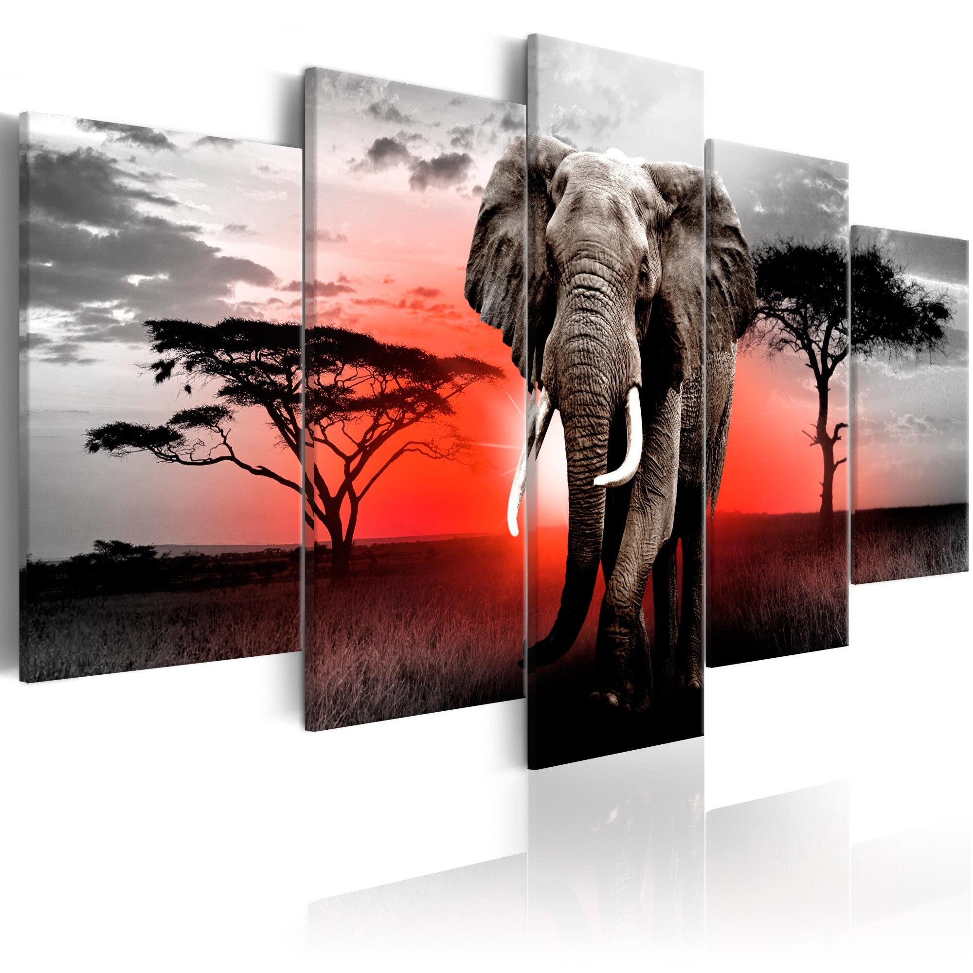 Tablou canvas 5 piese - Elephant singuratic - 100x50 cm