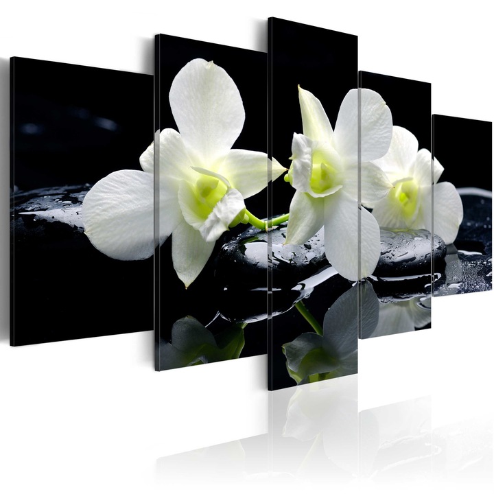 Artgeist "Melancholic orchids" 5 részes vászonfestmény, 100x50 cm
