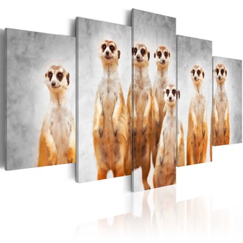 Tablou canvas 5 piese - Meerkats - 100x50 cm Tablou canvas 5 piese - Meerkats - 100x50 cm