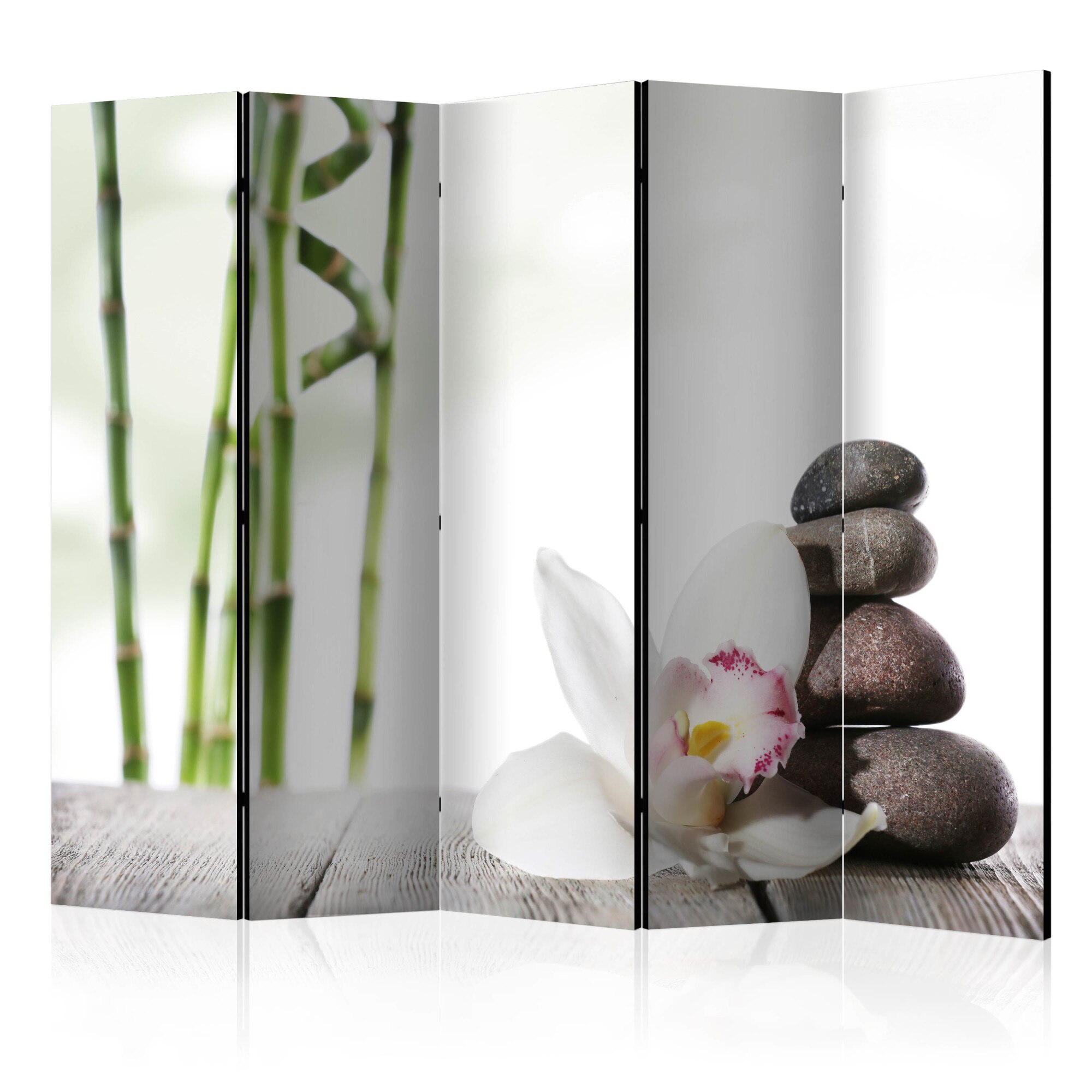 Paravan din 5 parti - Harmony II - 225x172cm
