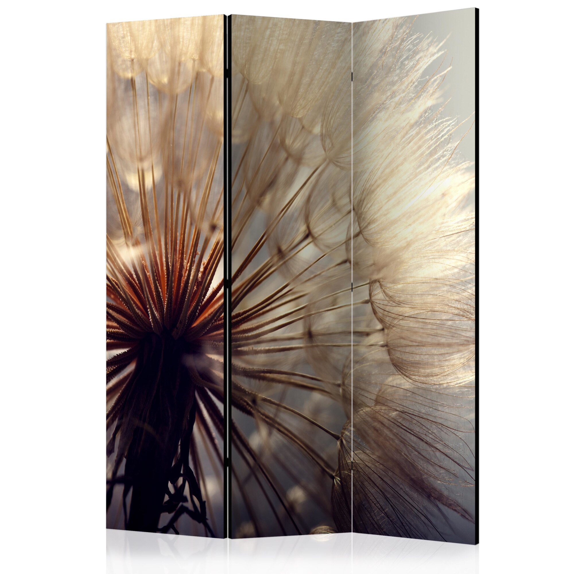 Paravan din 3 parti - Dandelion Kiss - 135x172cm