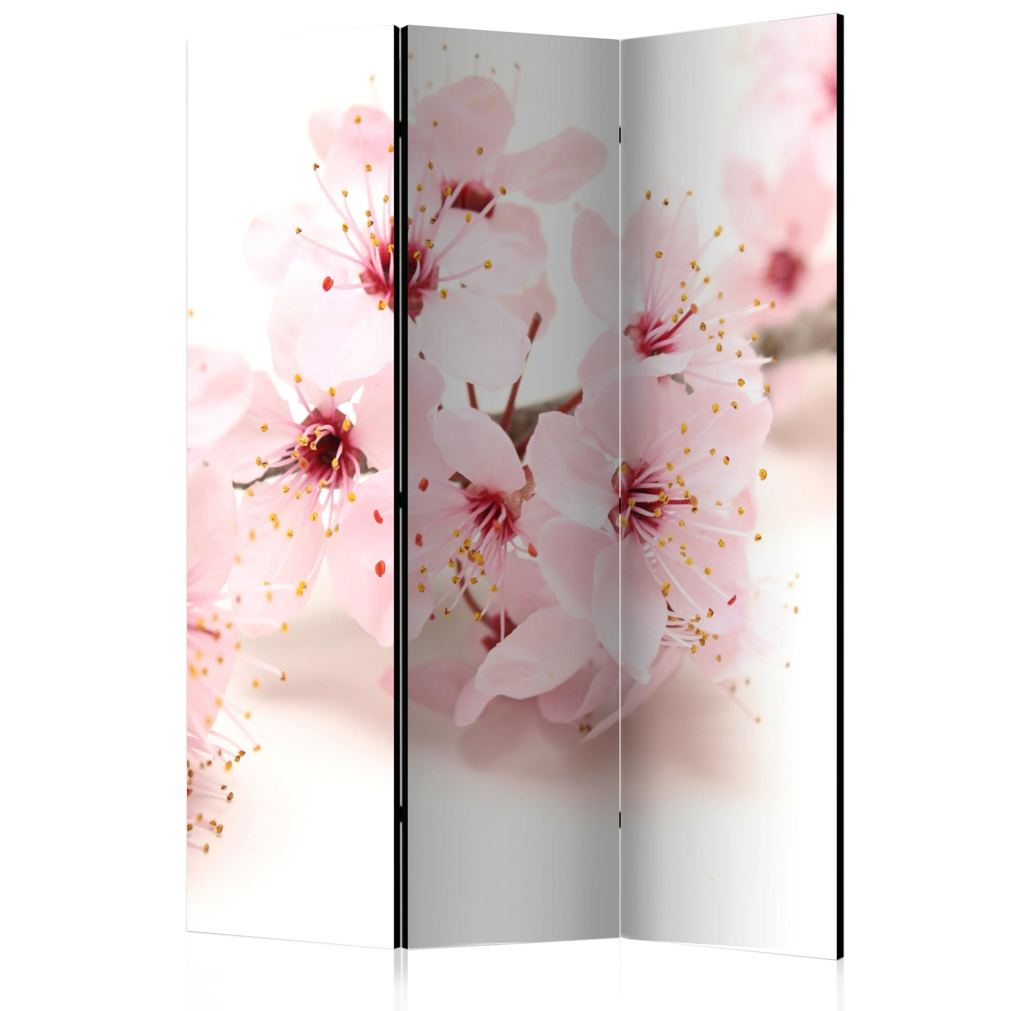 Paravan din 3 parti - Cherry Blossom - 135x172cm