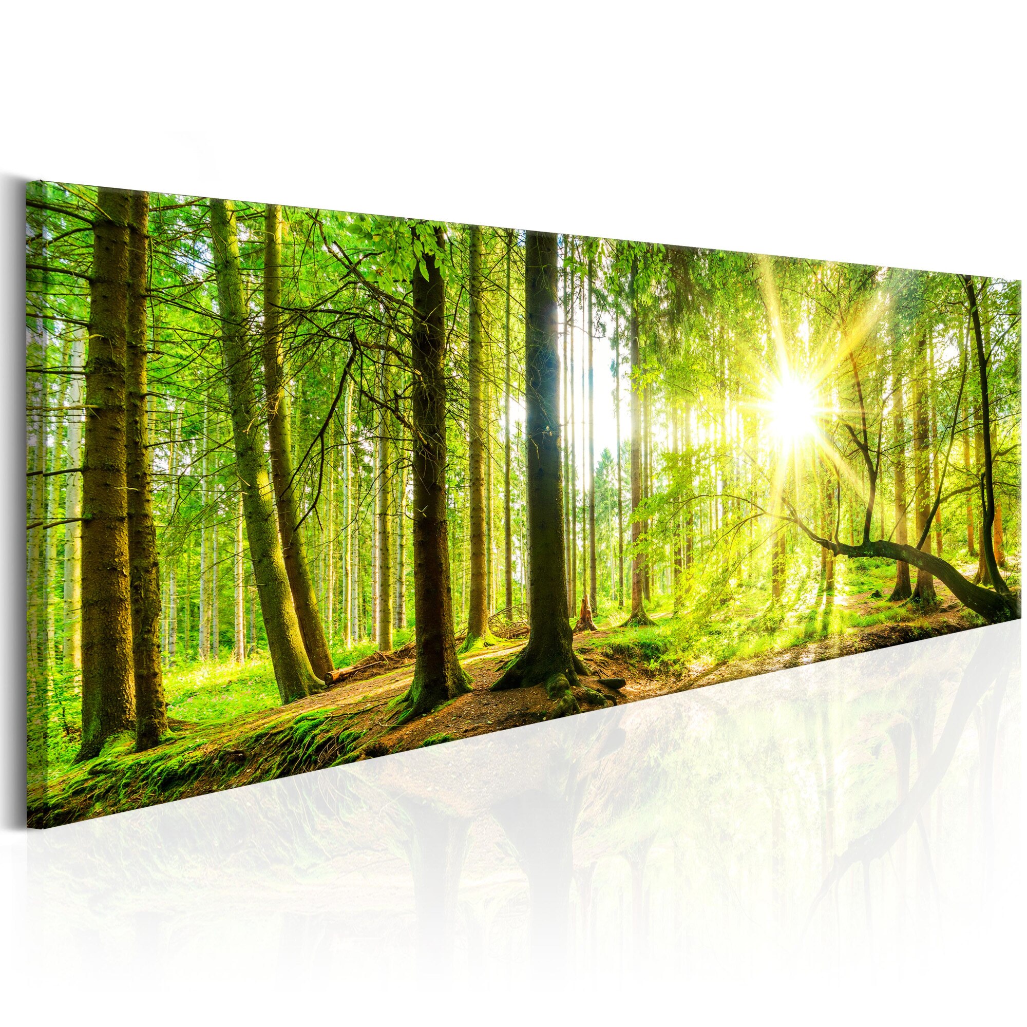 Tablou canvas - Majestic Copaci - 135x45 cm