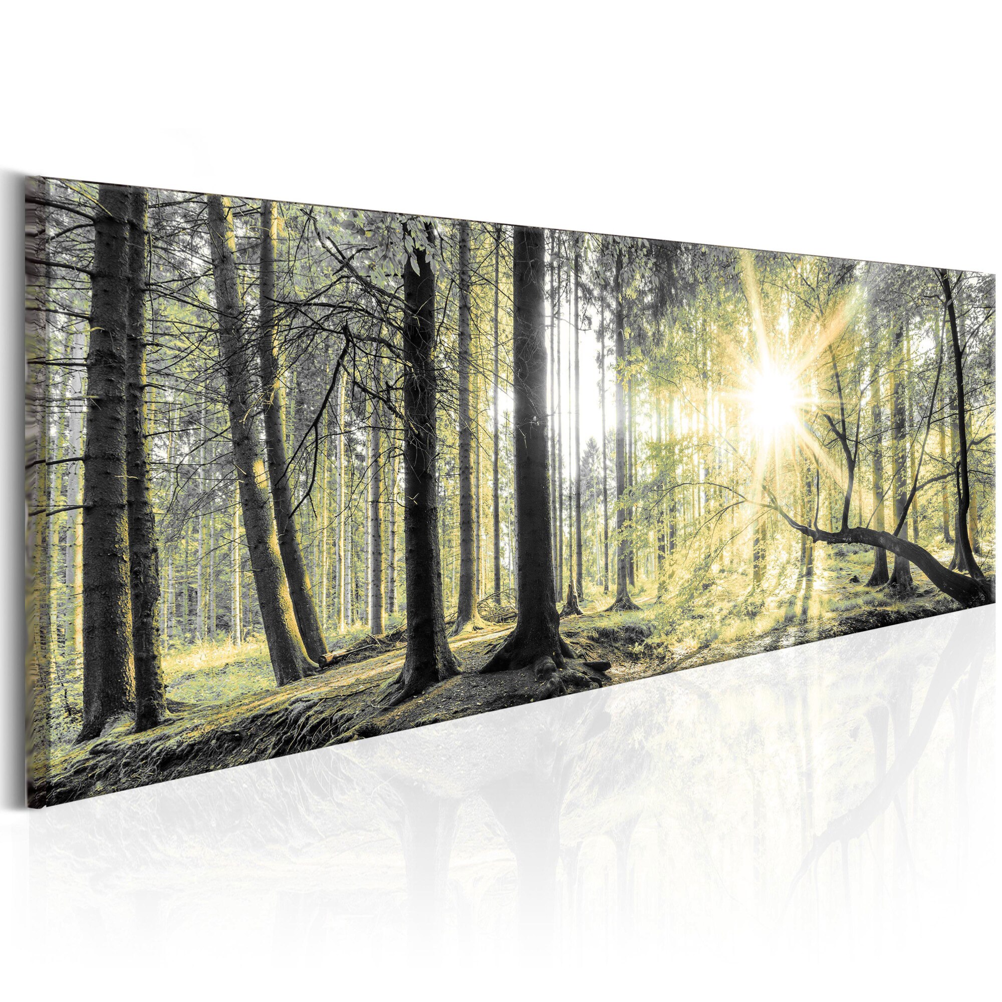 Tablou canvas - Padurea de dimineata - 150x50 cm