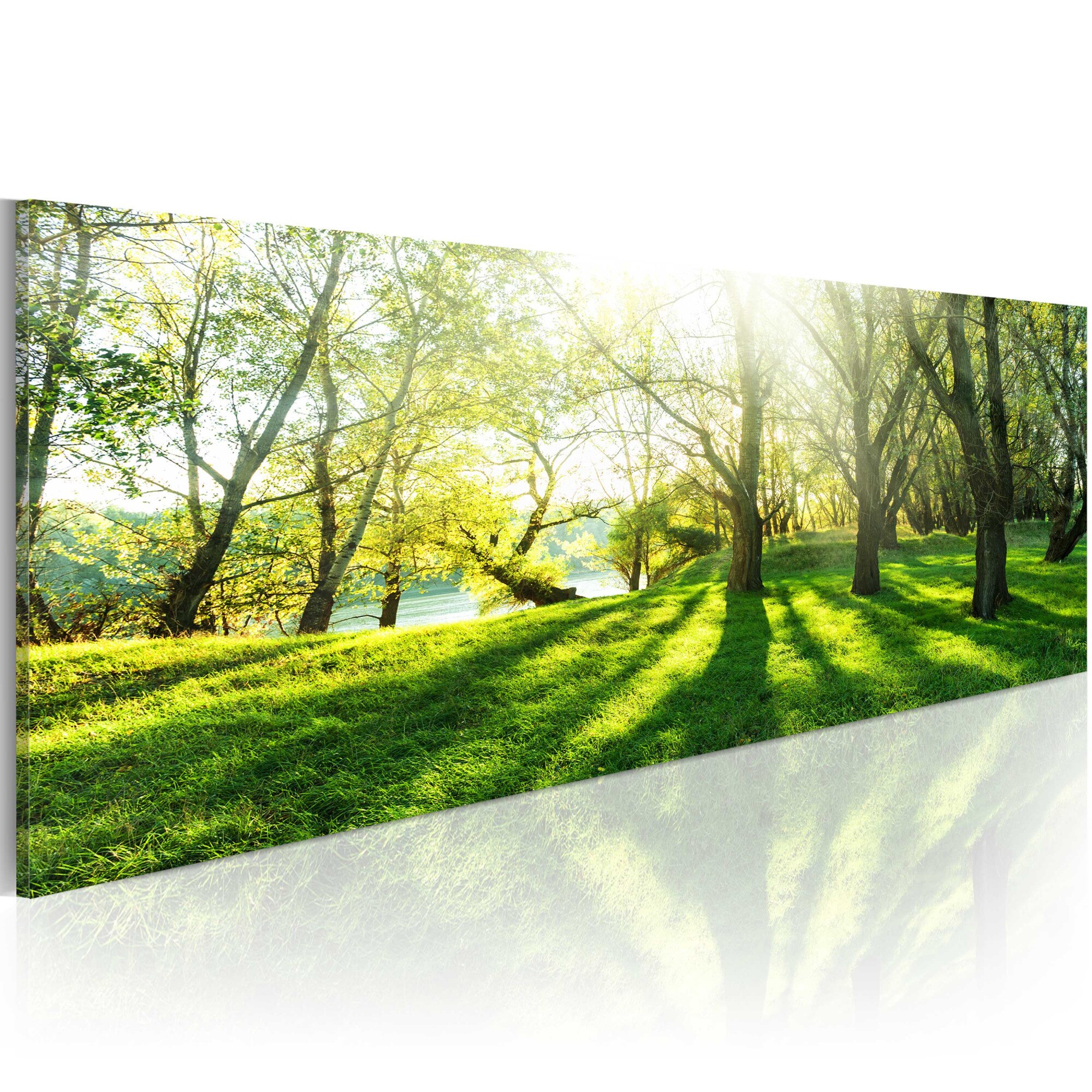 Tablou canvas - Rays of Sunshine - 120x40 cm