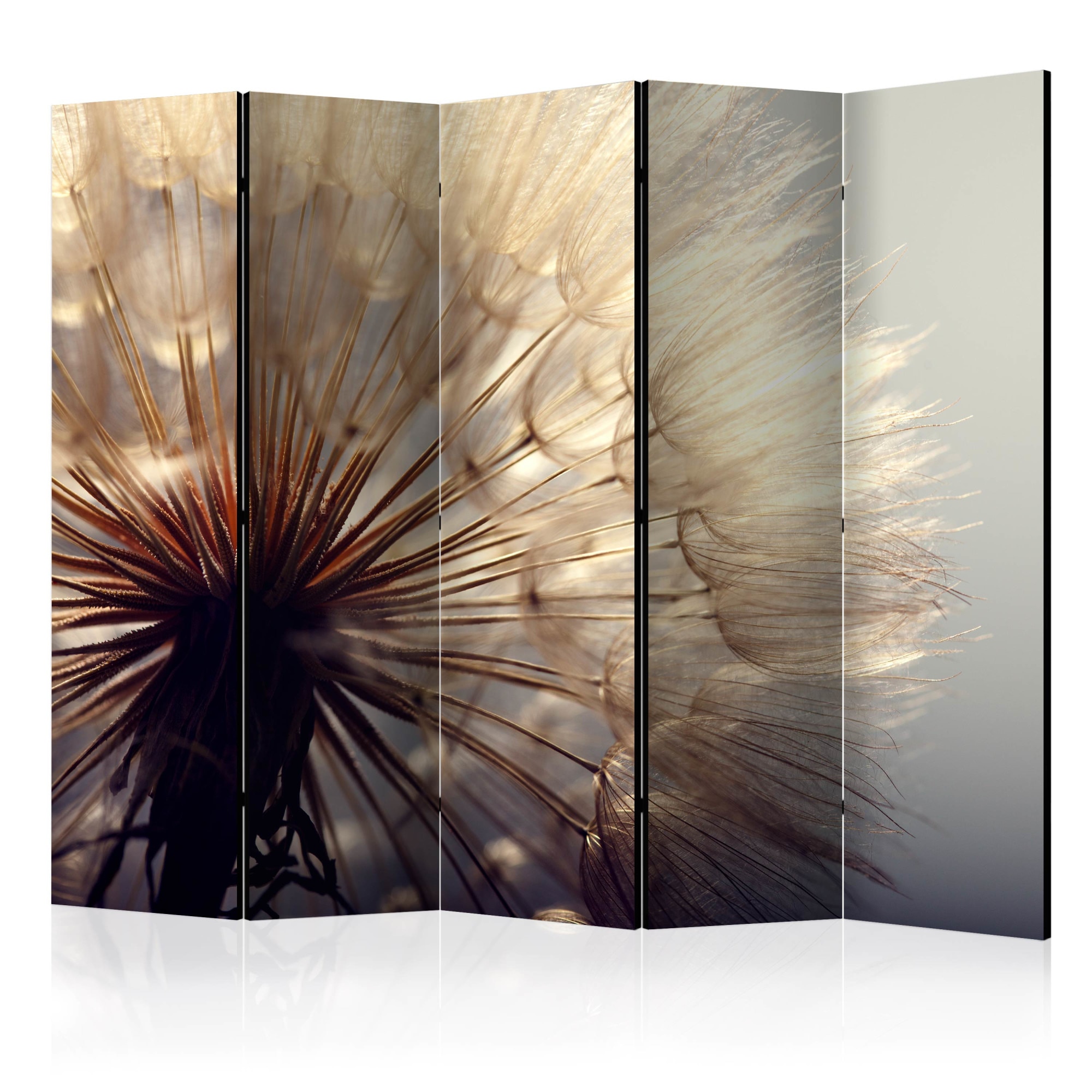 Paravan din 5 parti - Dandelion Kiss II - 225x172cm