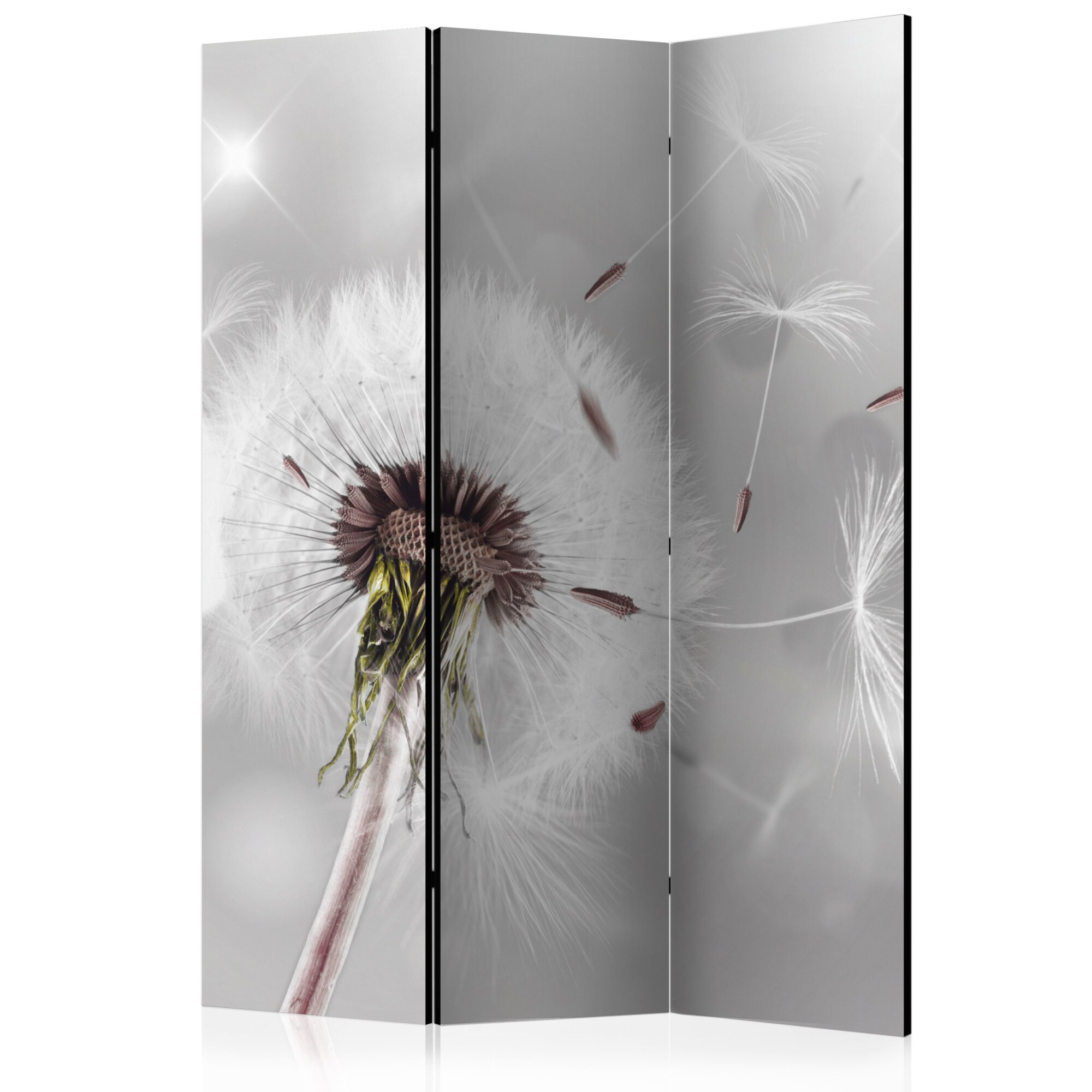 Paravan din 3 parti - Grasping the Invisible - 135x172cm