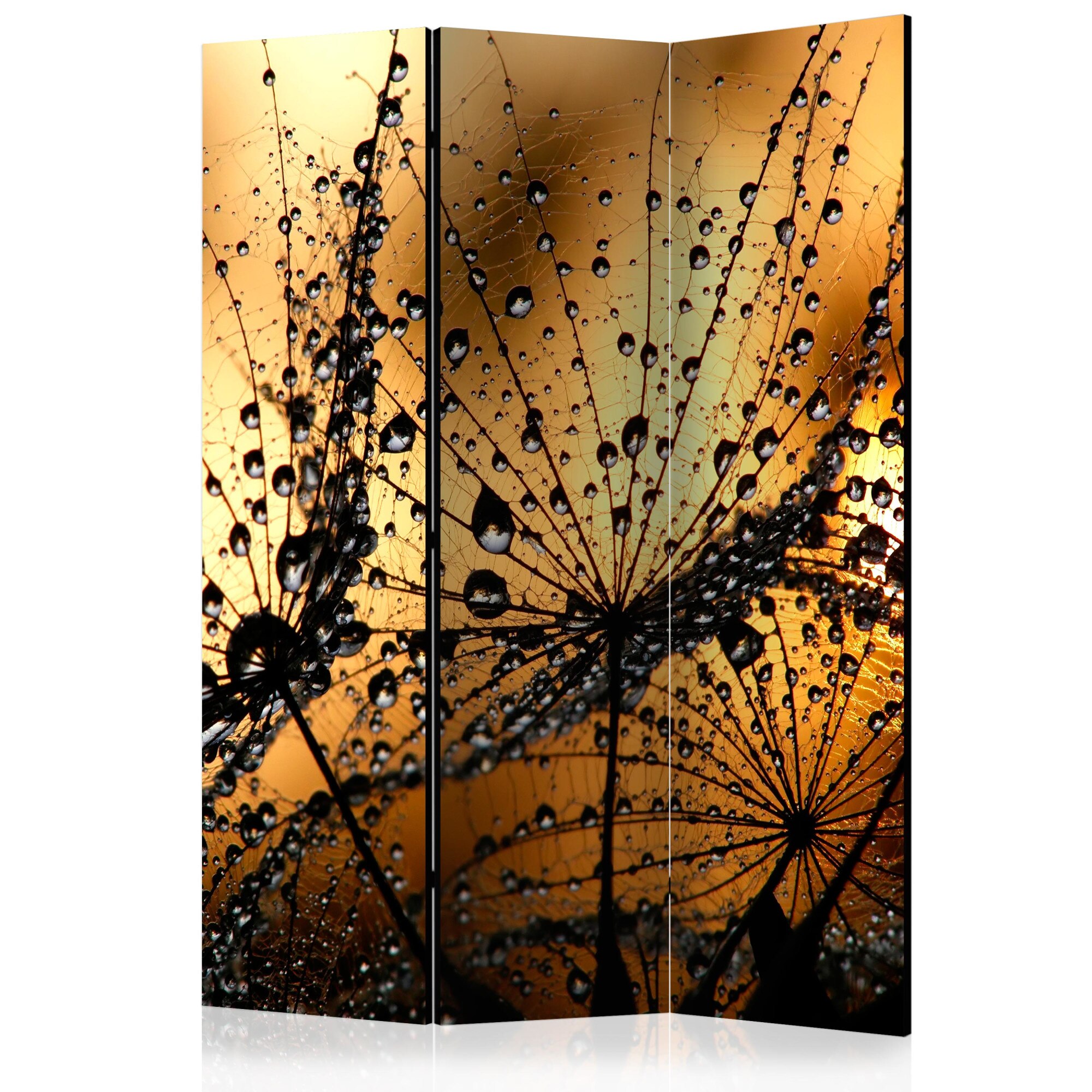 Paravan din 3 parti - Dandelions in the Rain - 135x172cm