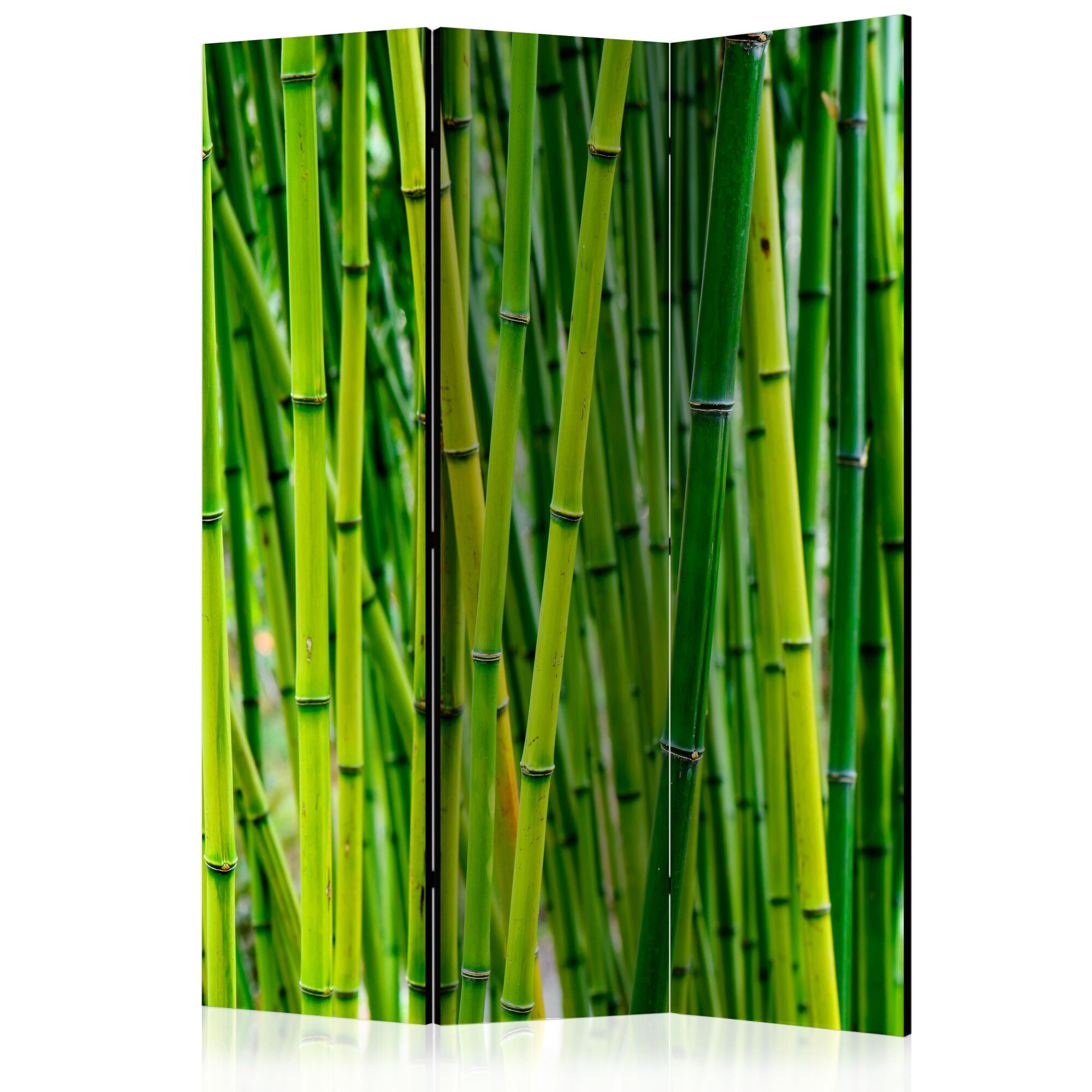 Paravan din 3 parti - Bamboo Forest - 135x172cm