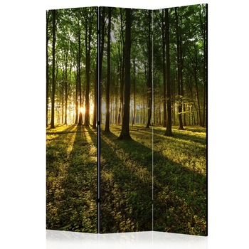 Paravan din 3 parti - Morning in the Forest - 135x172cm Paravan din 3 parti - Morning in the Forest - 135x172cm