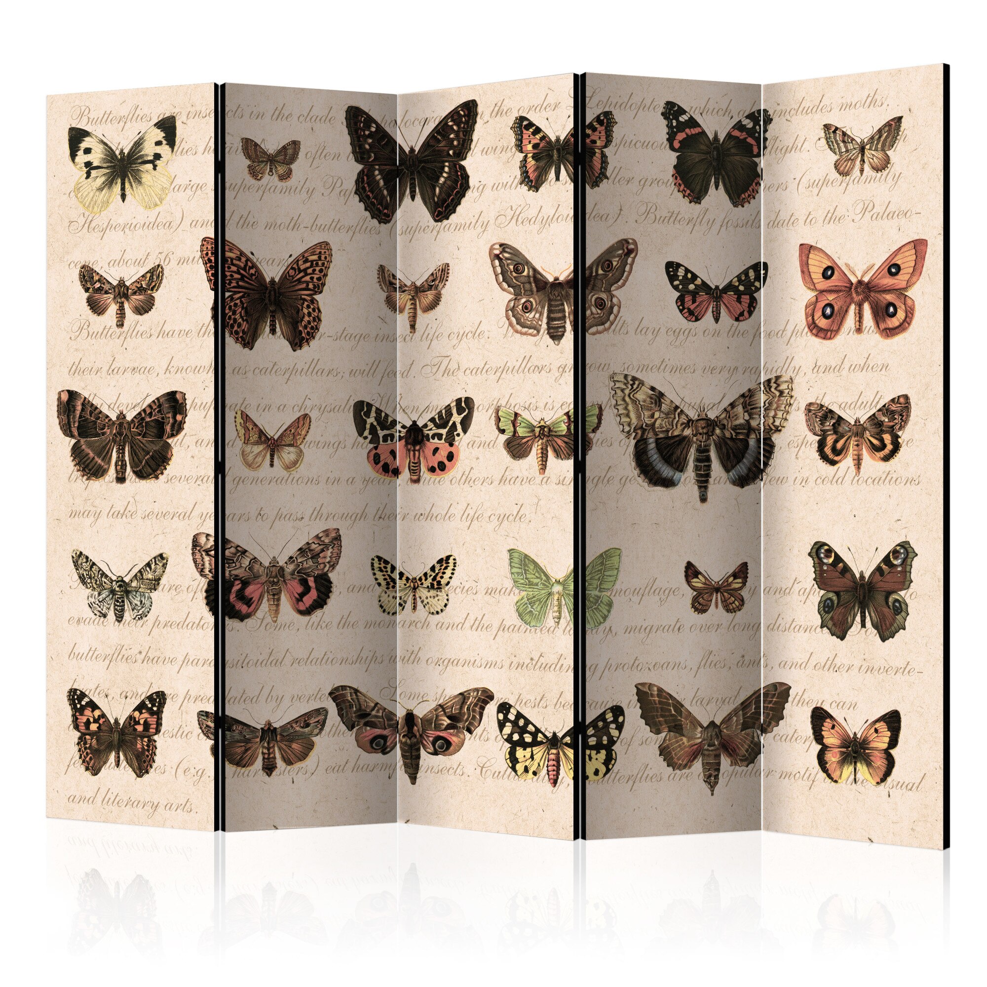Paravan din 5 parti - Retro Style: Butterflies II - 225x172cm