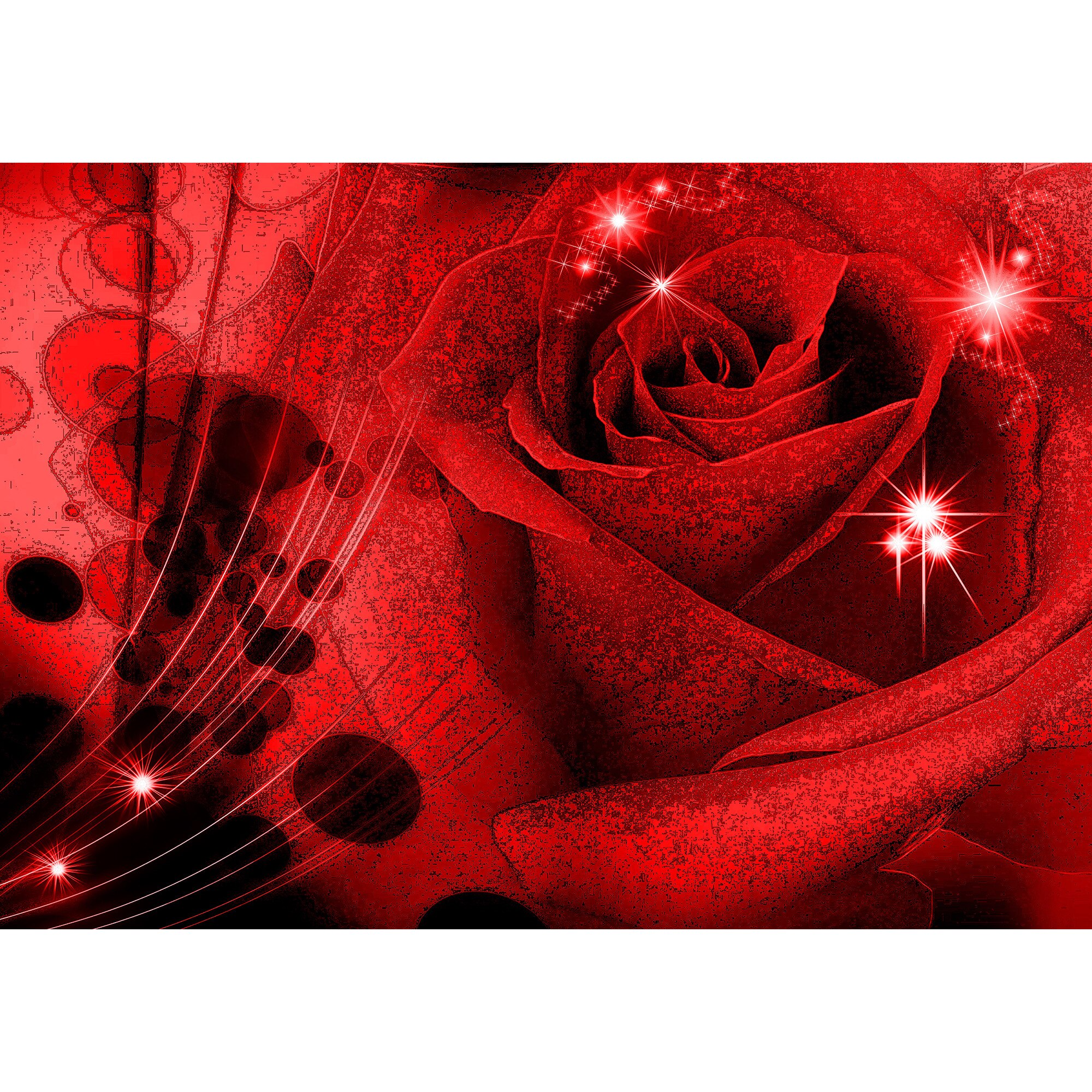 Fototapet DEGRETS 83496 Trandafir abstractie 3D 184x254cm