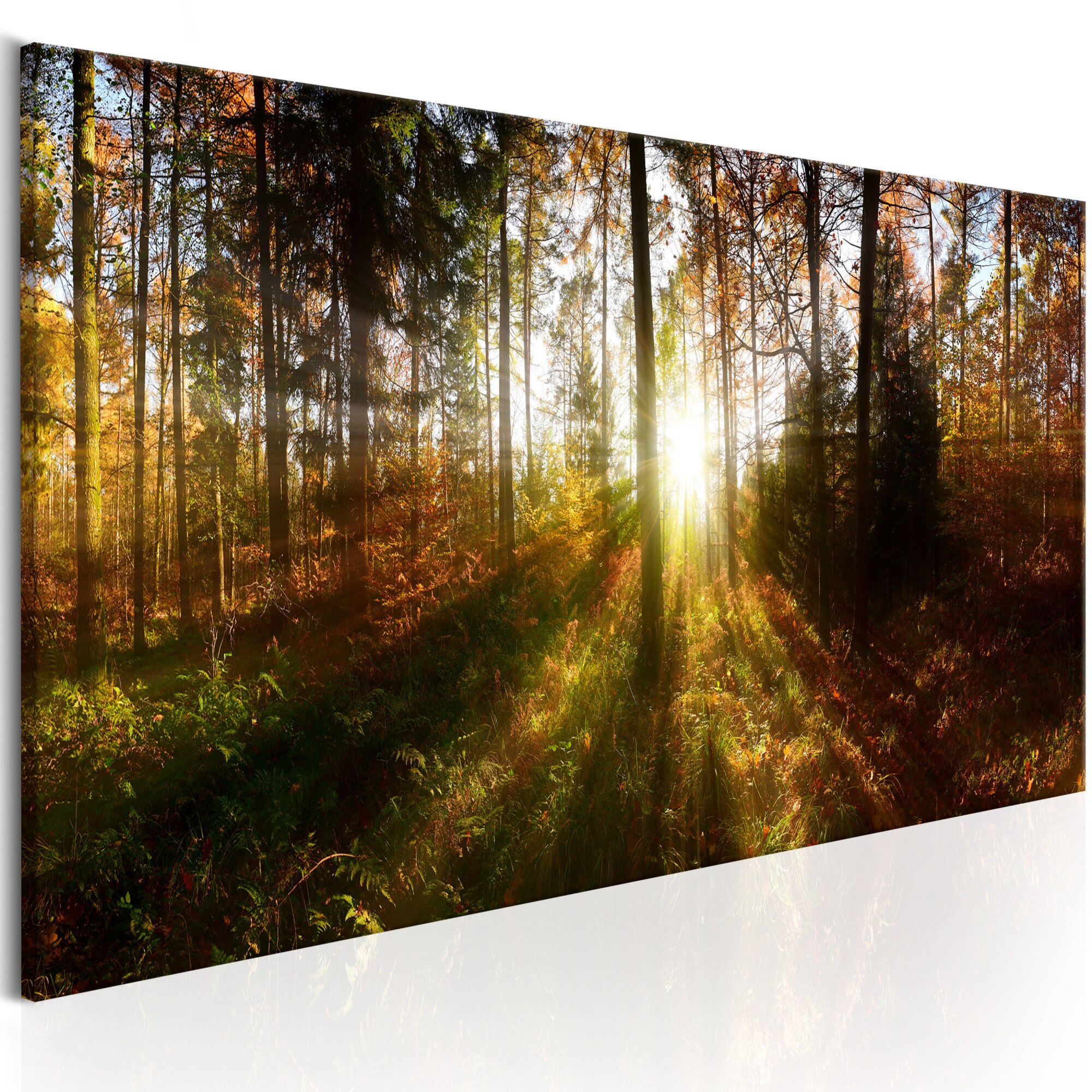 Tablou canvas - Padurea frumoasa - 150x50 cm