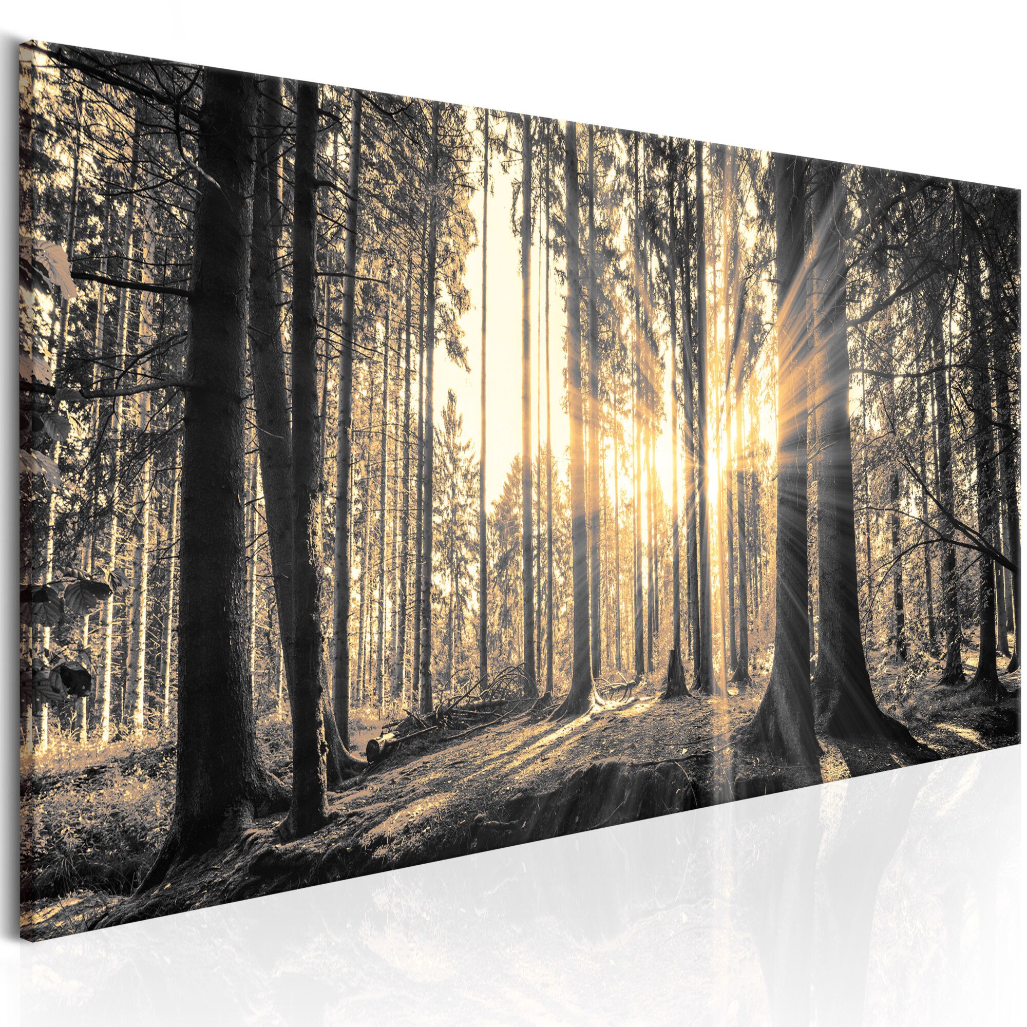 Tablou canvas - Forest Sun - 150x50 cm