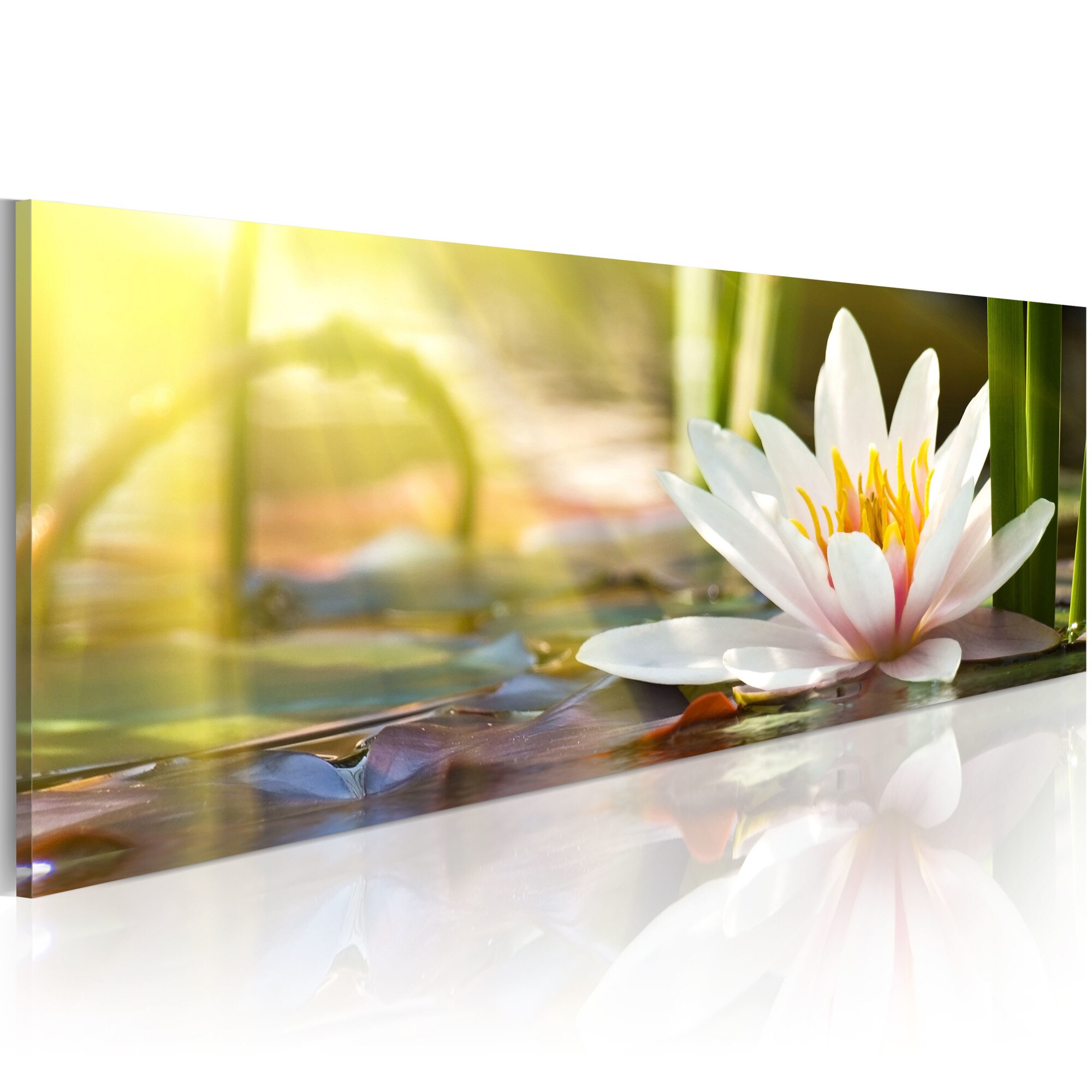 Tablou canvas - Lotus Glow - 150x50 cm