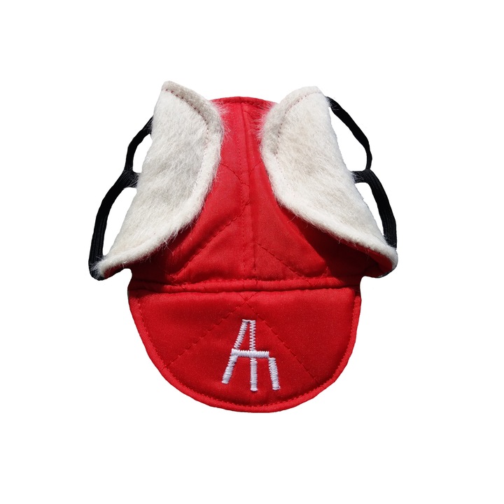 Sapca ARTHUR SUPER, Euroanimode, Rosu, L