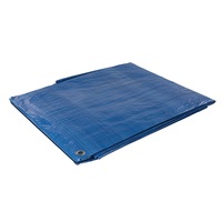 foaie prelata pvc heavy duty 24 x 3m rezistenta uv impermeabilasilverline imagen 39_0_
0