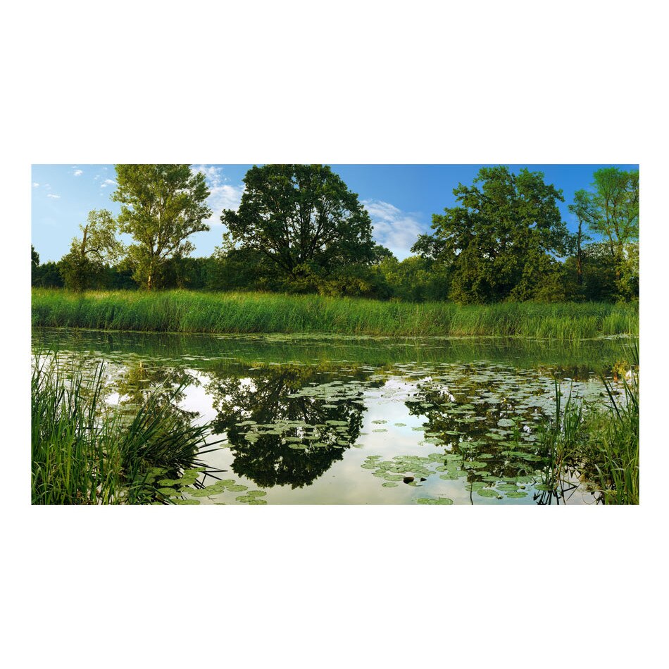 Fototapet vlies - Magic II iaz - 600 x 280 cm