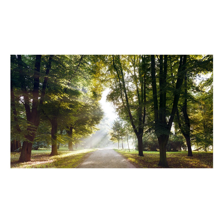 Fototapet vlies - Dimineata de mers pe jos II - 500 x 280 cm