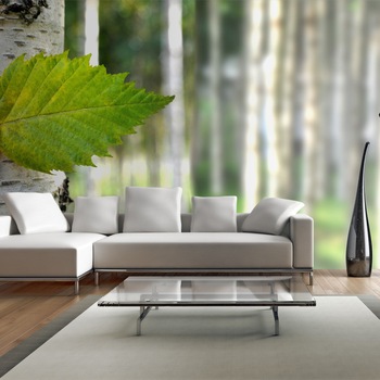 Fototapet vlies XXL - Birch leaf - 550 x 270 cm Fototapet vlies XXL - Birch leaf - 550 x 270 cm