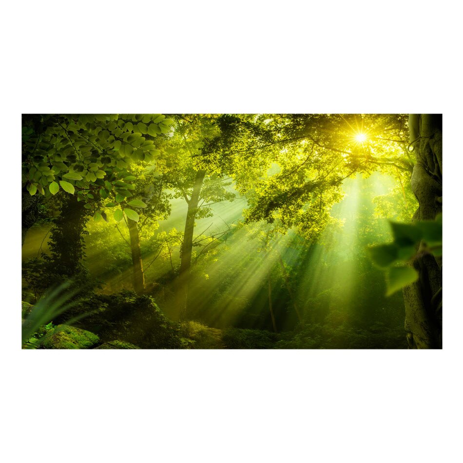 Fototapet vlies - In padurea secreta II - 500 x 280 cm