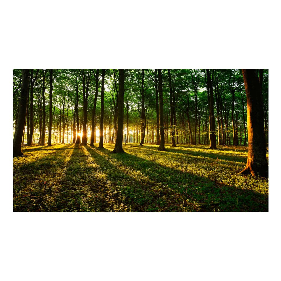Fototapet vlies - Mizeria mortii II - 500 x 280 cm