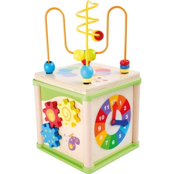 Cub dezvoltare motricitate cu 5 activitati educative, din lemn, cu Insecte Cub dezvoltare motricitate cu 5 activitati educative, din lemn, cu Insecte