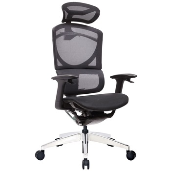 Scaun ergonomic, ErgoPro SE, Negru Scaun ergonomic, ErgoPro SE, Negru